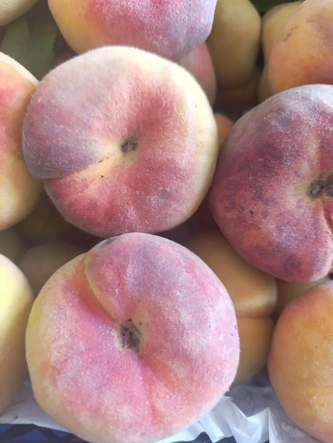 میوه فروشی|فروشگاه و مغازه|اندیمشک, |دیوار