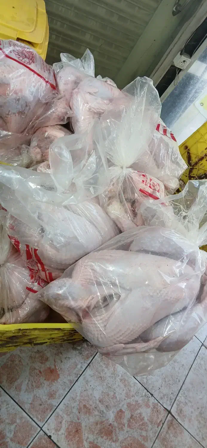 کالابرگ مرغ ماهی،بوقلمون۳۱۰،گوشت منجمد|خوردنی و آشامیدنی|ساوه, |دیوار