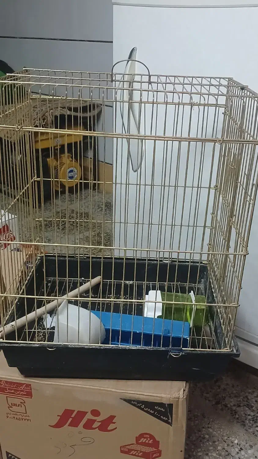قفس پرنده برای طوطی و عروس|لوازم جانبی حیوانات|تیران, |دیوار