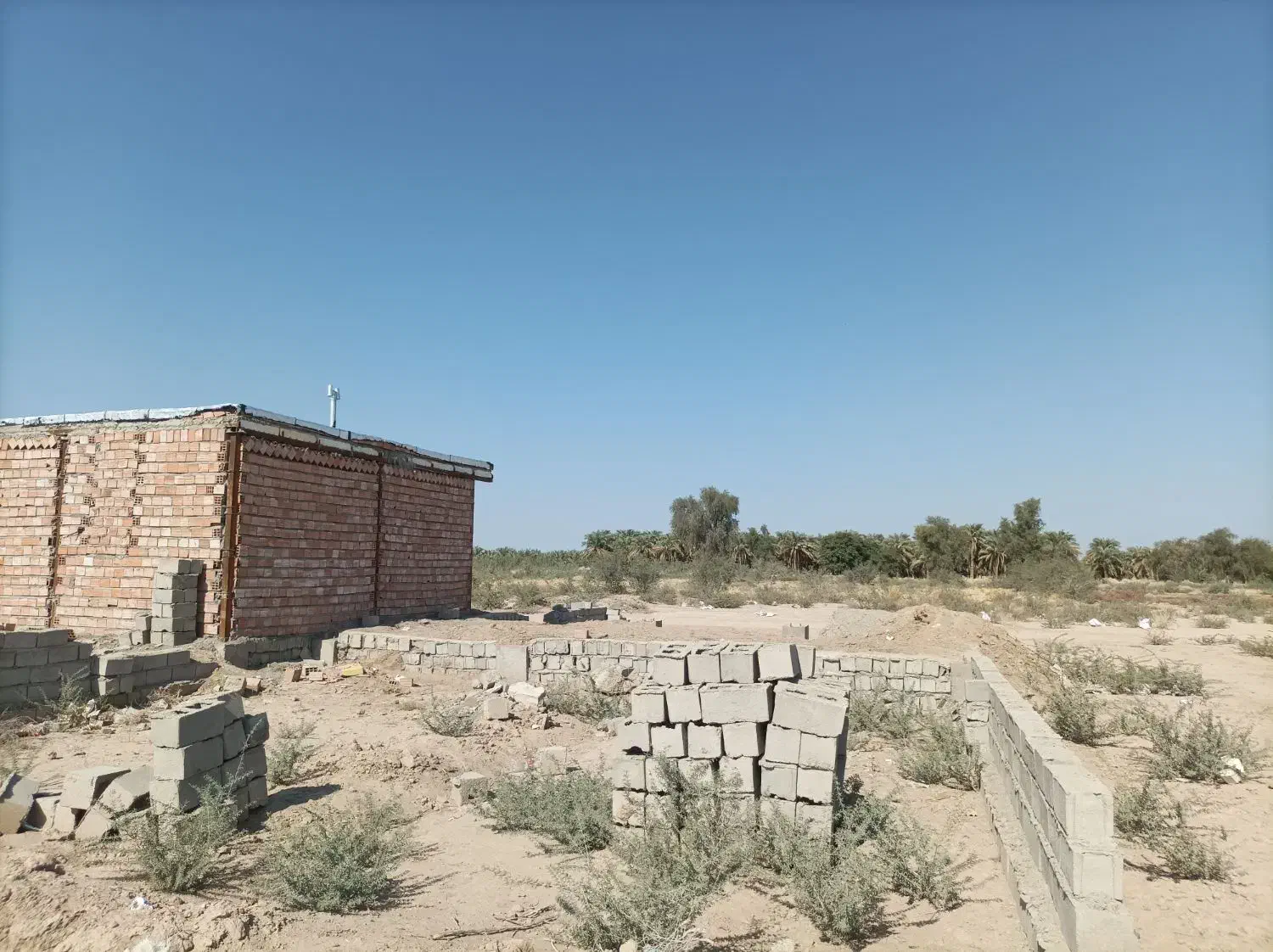 زمین فروشی ریگان|فروش زمین و ملک کلنگی|ریگان, |دیوار