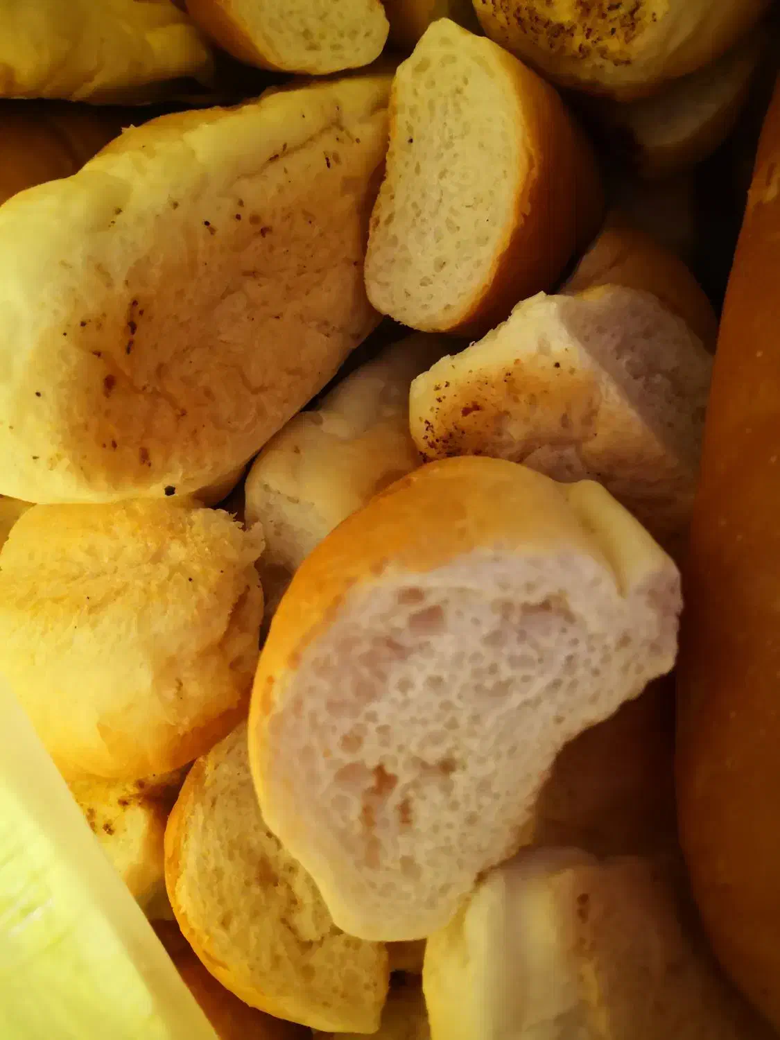 نان خشک|حیوانات مزرعه|رشت, بیجارپس|دیوار