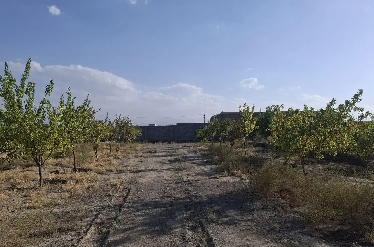 زمین تک برگ سند ازمجتمع شرکت برق|فروش زمین و ملک کلنگی|گلمکان, |دیوار