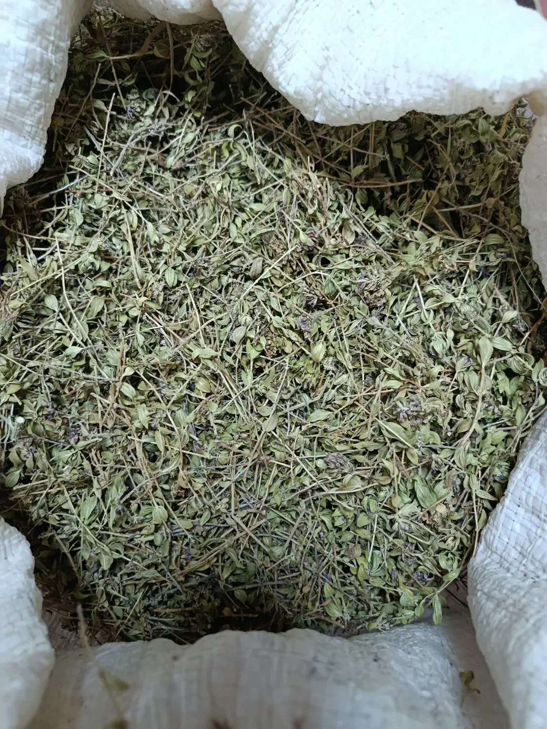 آویشن  سالم|خوردنی و آشامیدنی|تهران, بوستان چیتگر|دیوار