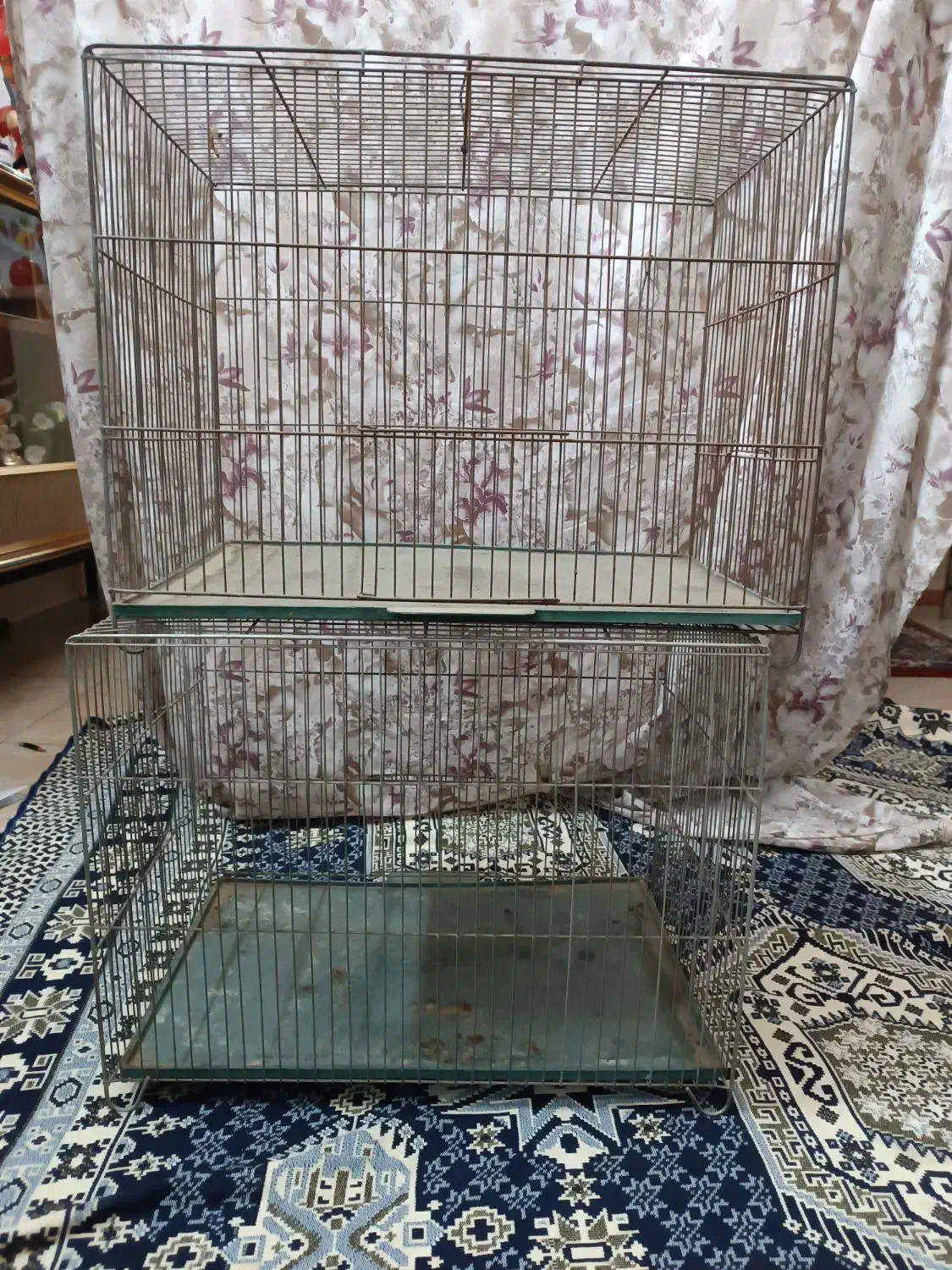 قفس قناری|لوازم جانبی حیوانات|خوی, |دیوار