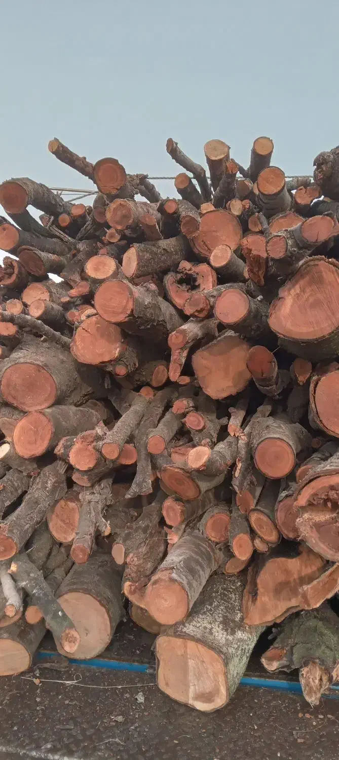 خرید وفروش چوب|مصالح و تجهیزات ساختمان|ماکو, |دیوار