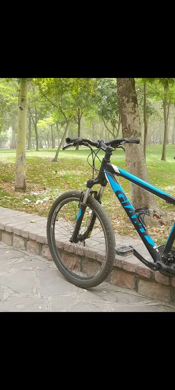 دوچرخه جاینت تالون اصل|دوچرخه، اسکیت، اسکوتر|مشهد, یاس|دیوار