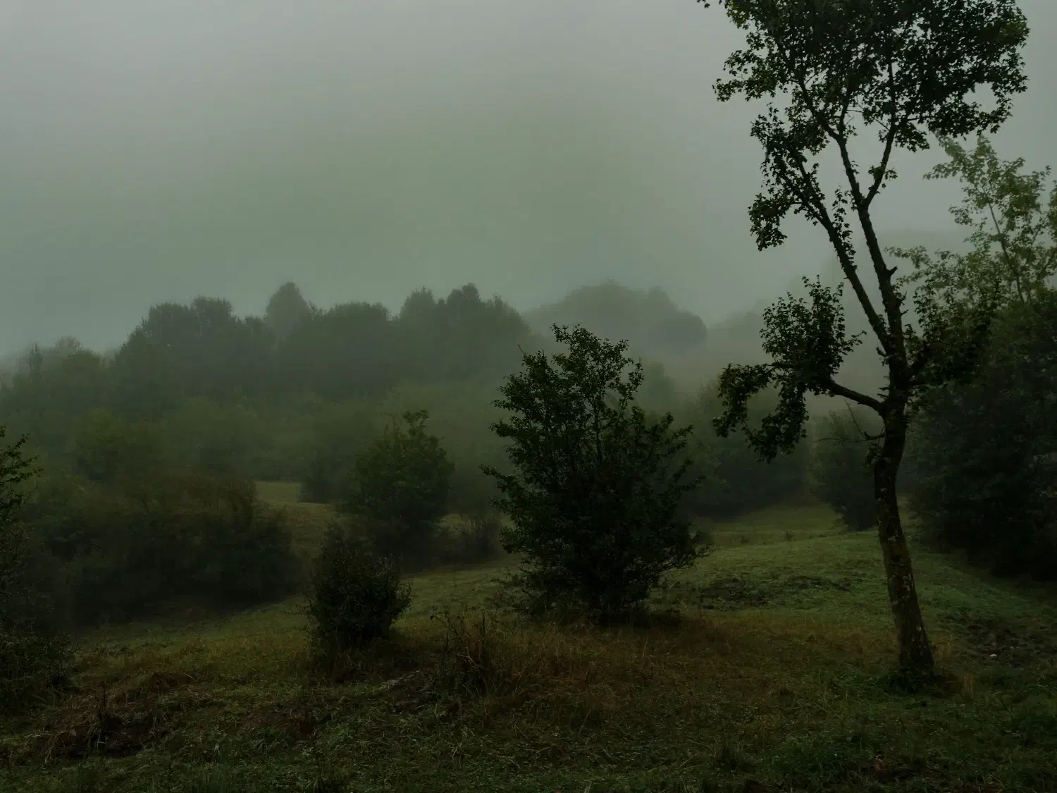 پکیج اقتصادی عکاسی یلدایی و پاییزی|خدمات پذیرایی، مراسم|قزوین, |دیوار