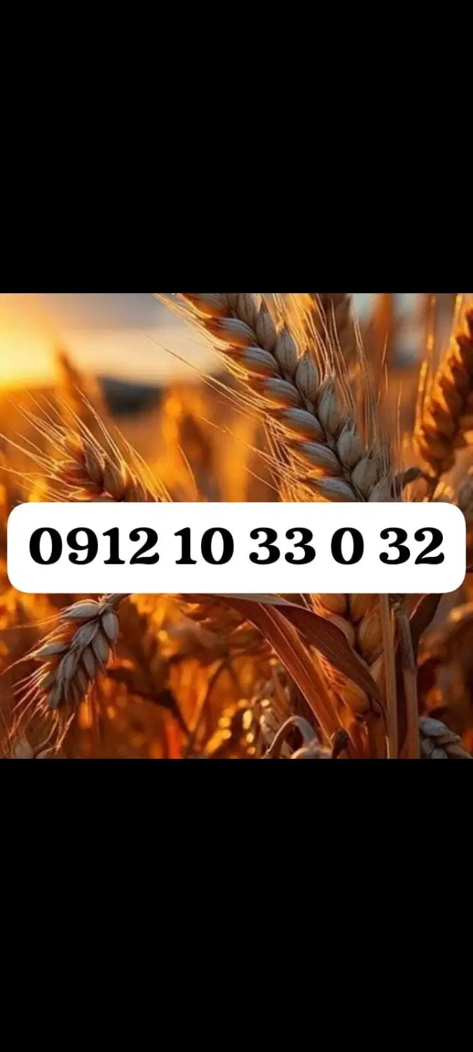 32. 0. 33. 10. 0912|سیم‌کارت|تهران, حکمت|دیوار