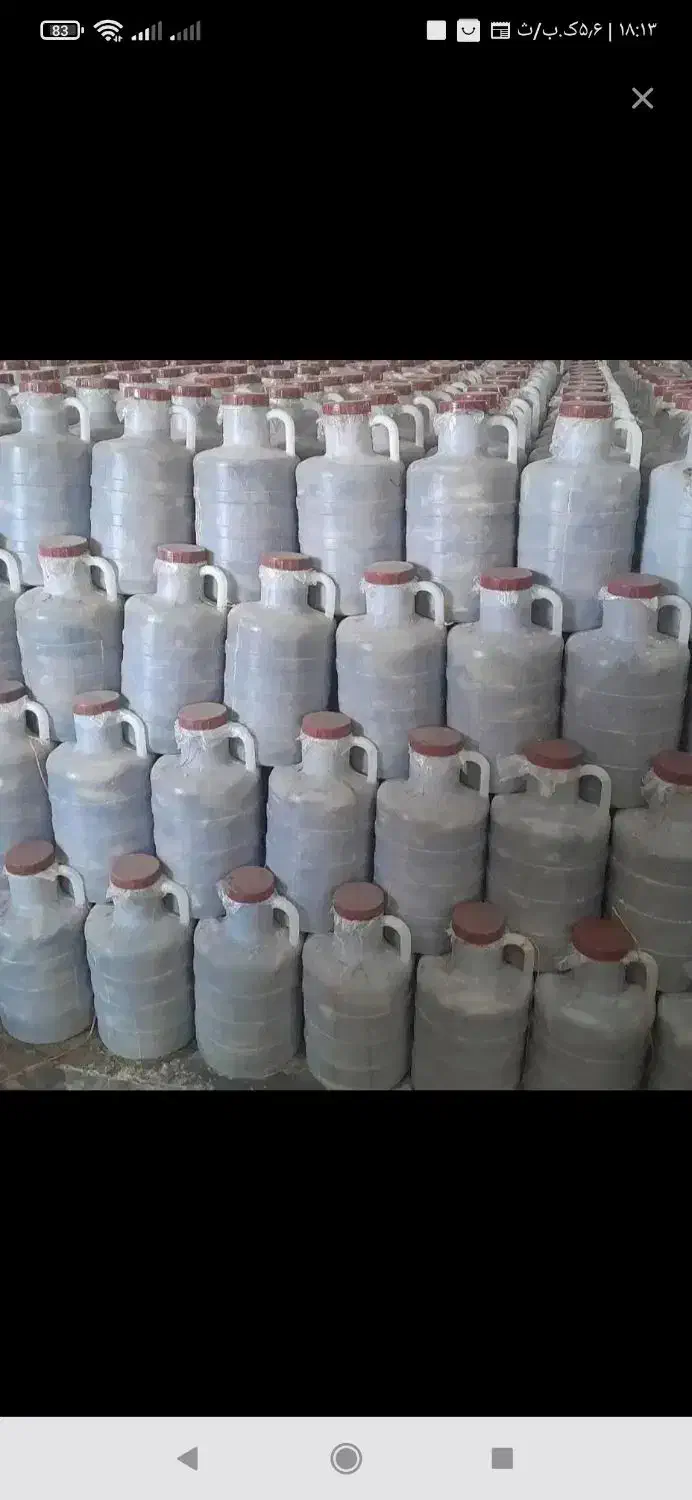 خیار شور|خوردنی و آشامیدنی|سردرود, |دیوار