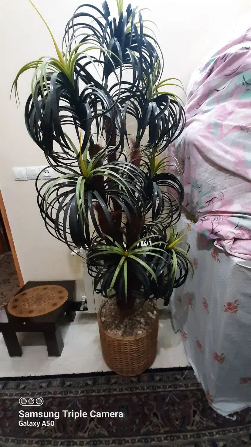 فروش نخل مصنوعی خارجی|گل مصنوعی|برخوار, |دیوار