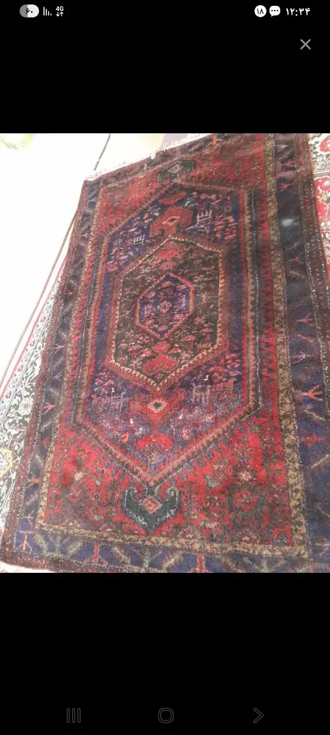 فرش دستباف پشمی|فرش|زنجان, |دیوار