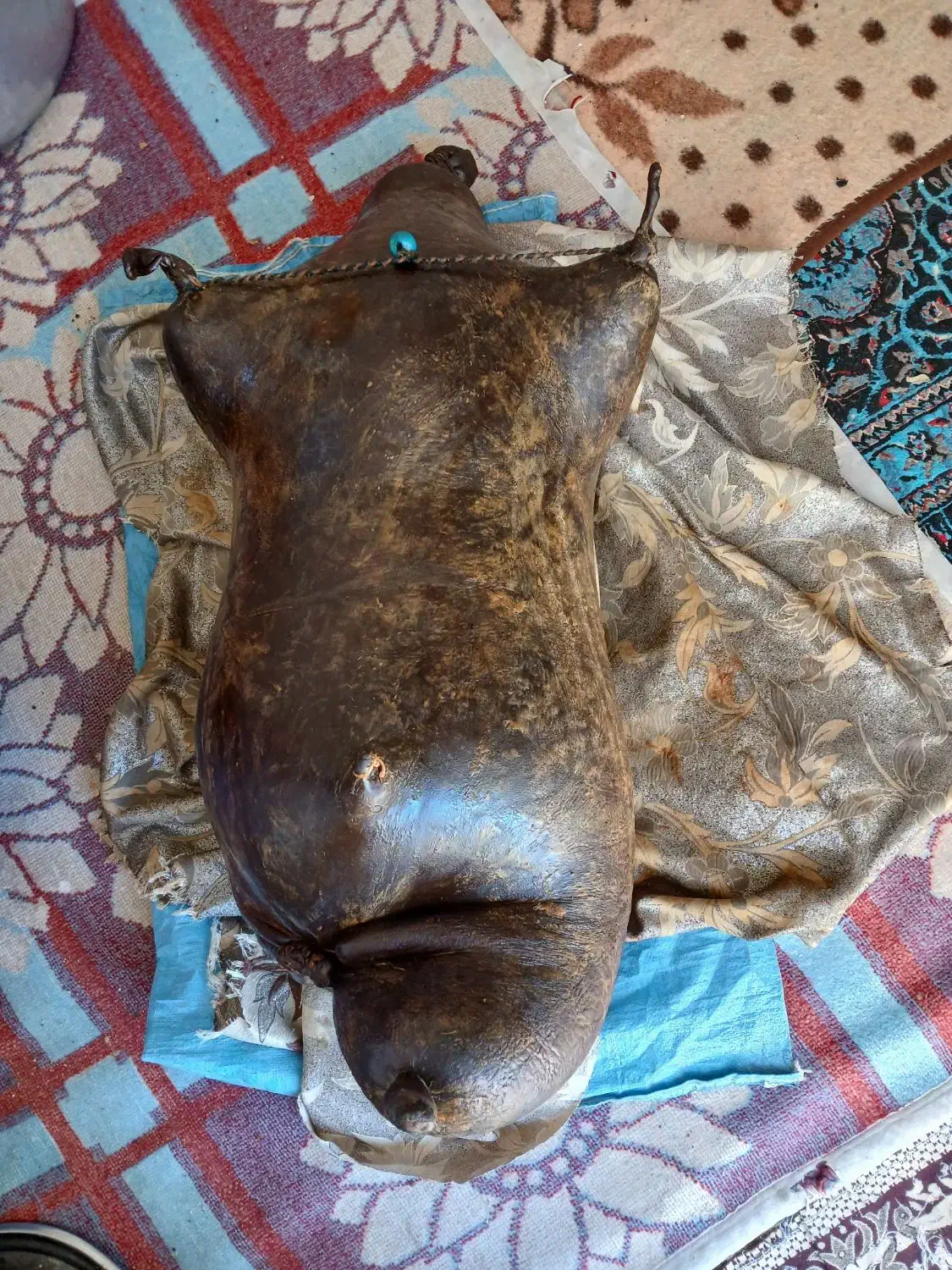 هیزه جای روغن|ظروف نگهدارنده، پلاستیکی، یک‌بارمصرف|ایلام, |دیوار