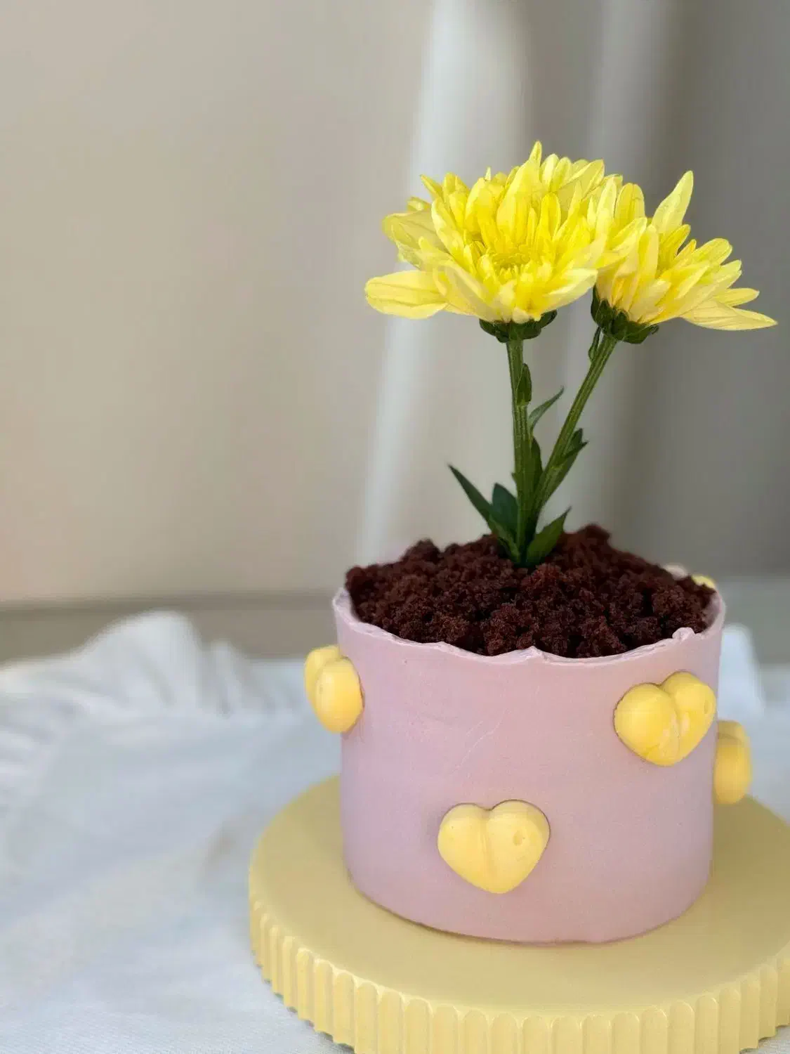 ثبت سفارش کیک روز مادر در این طرح|خدمات پذیرایی، مراسم|زابل, |دیوار