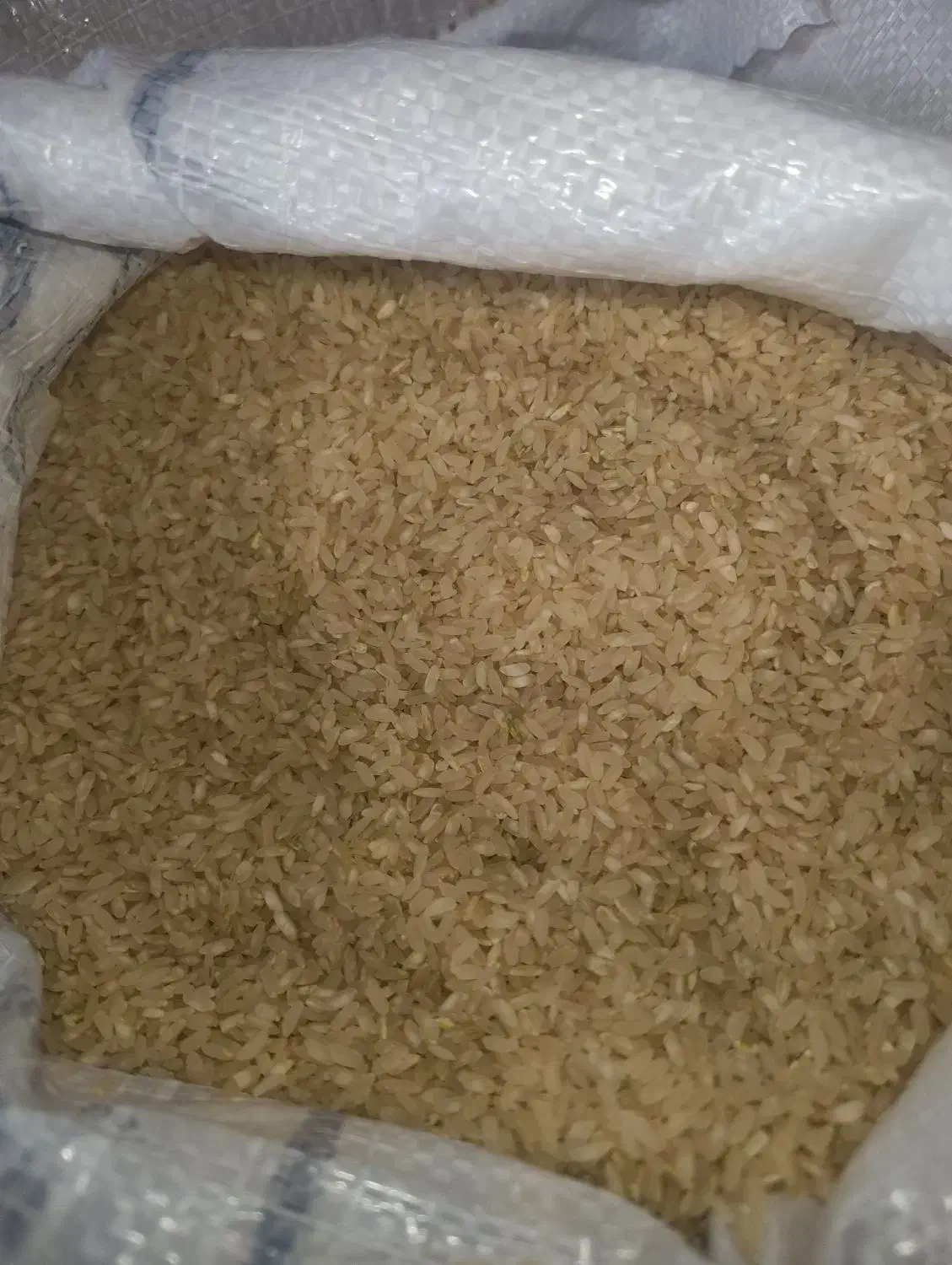 برنج کامفیروزی نو|خوردنی و آشامیدنی|شیراز, گلشن|دیوار