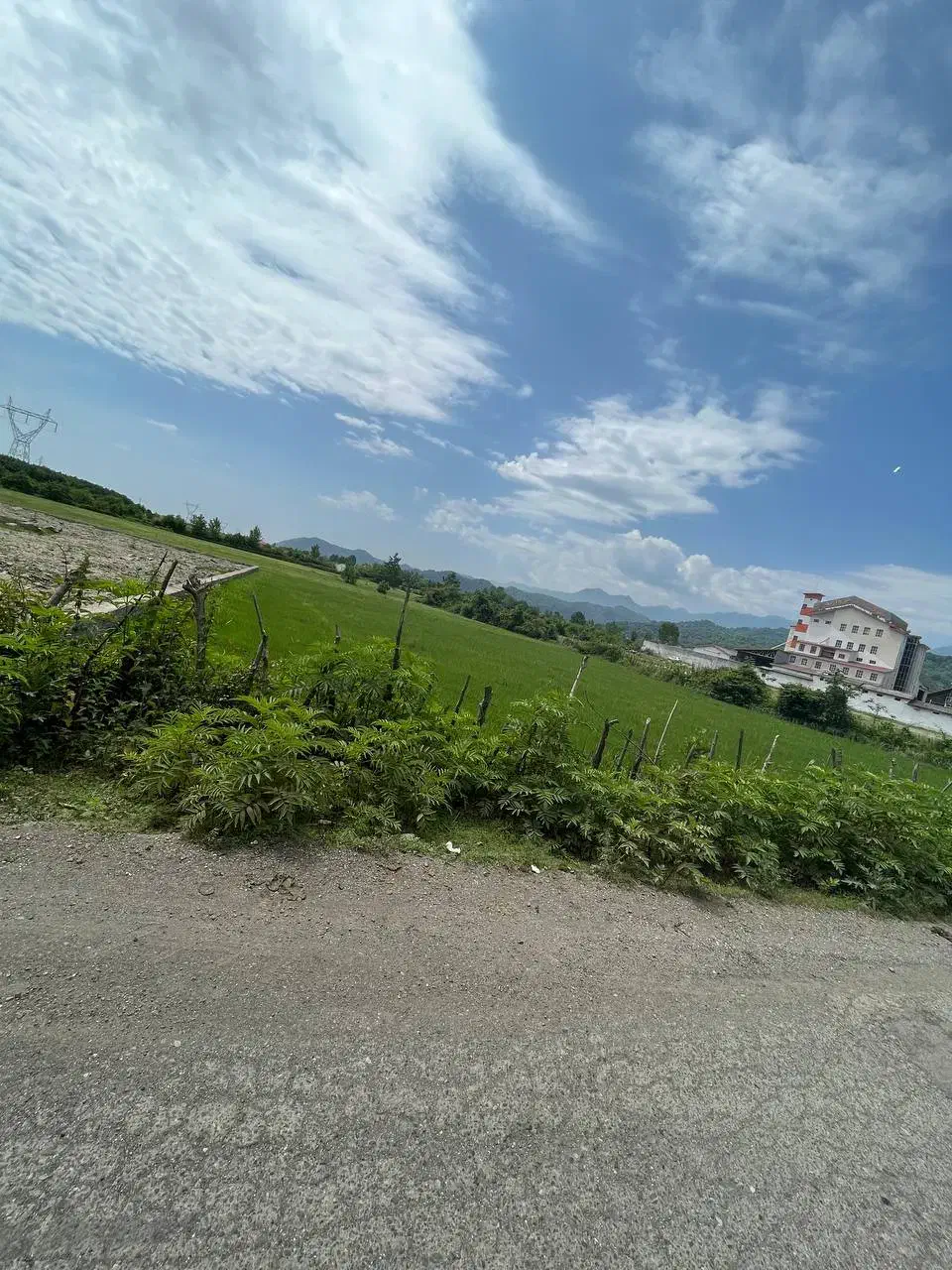 فروش زمین ۵۰۰۰ متری|فروش زمین و ملک کلنگی|آستارا, |دیوار