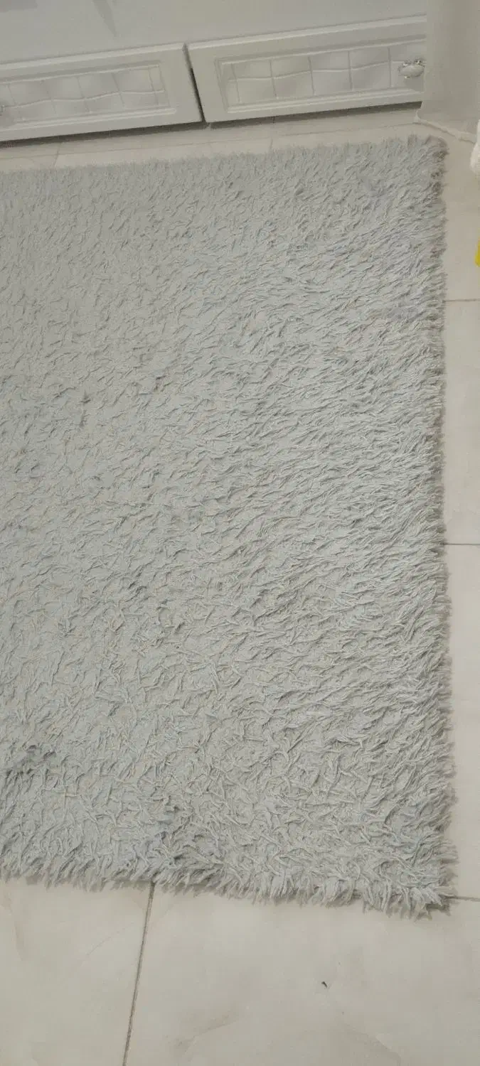 فرش شگی|فرش|ساوه, |دیوار