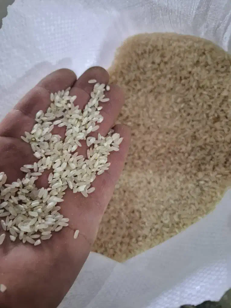برنج کامفیروزی درجه یک|خوردنی و آشامیدنی|یزد, |دیوار