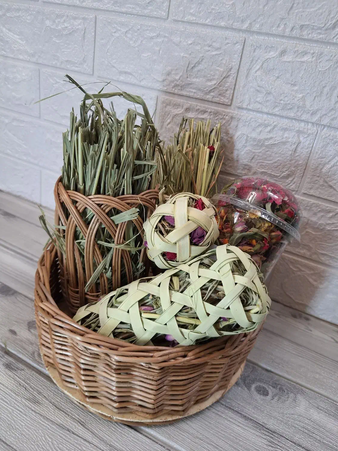 پت شاپ خرگوشی|لوازم جانبی حیوانات|تهران, بازار|دیوار