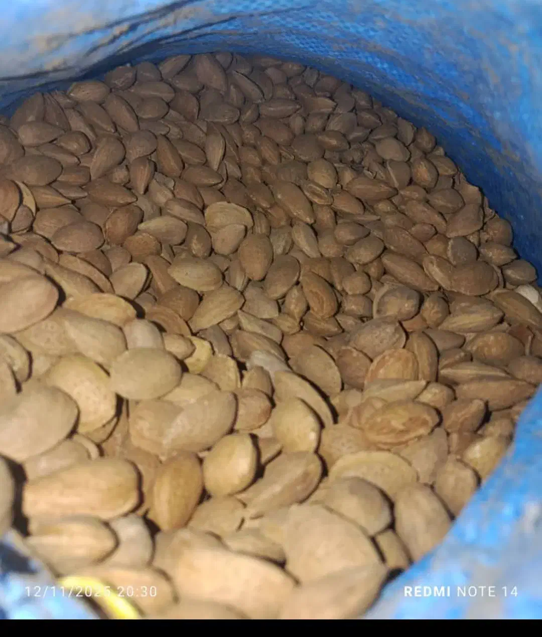 بادام شاهرودی بدون تلخی وپوکی ۲۸۵|خوردنی و آشامیدنی|صدرا-فارس, فاز ۱|دیوار