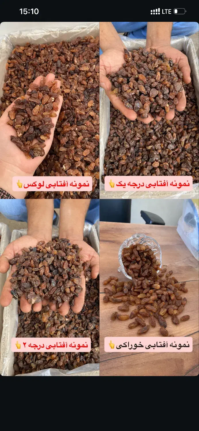 کشمش بیدانه|عمده‌فروشی|رامسر, |دیوار