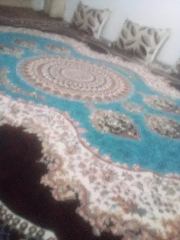 فرش۱۲ متری دونه ای ۸ هردو۱۶میلیون|فرش|دورود, |دیوار