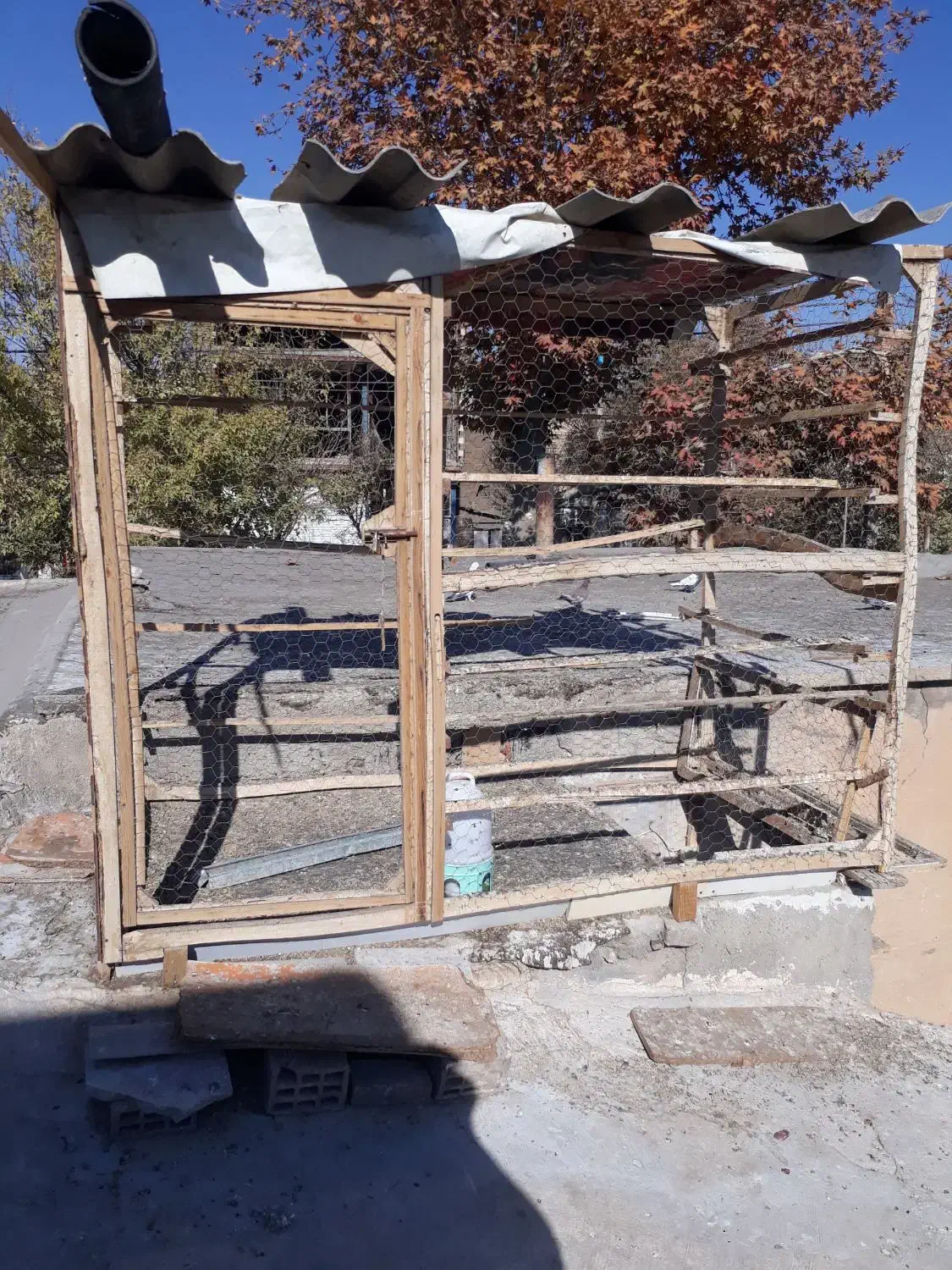 قفس کبوتر مرغ|لوازم جانبی حیوانات|دورود, |دیوار