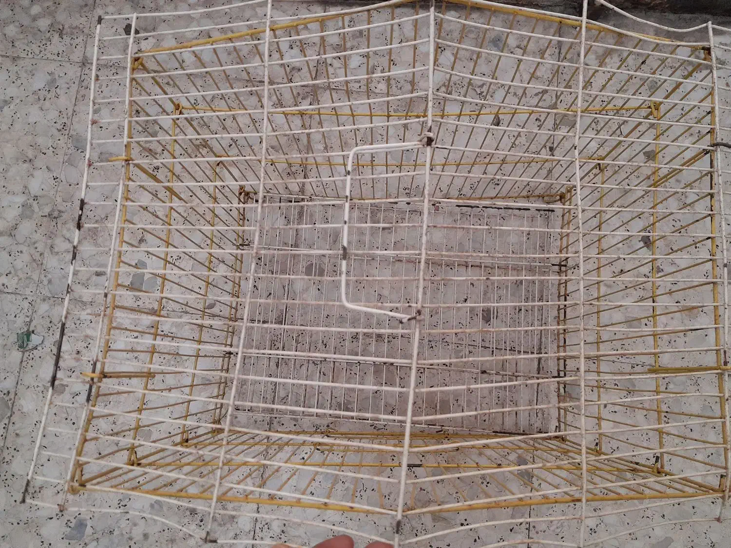 قفس پرنده|لوازم جانبی حیوانات|قم, نخودی|دیوار