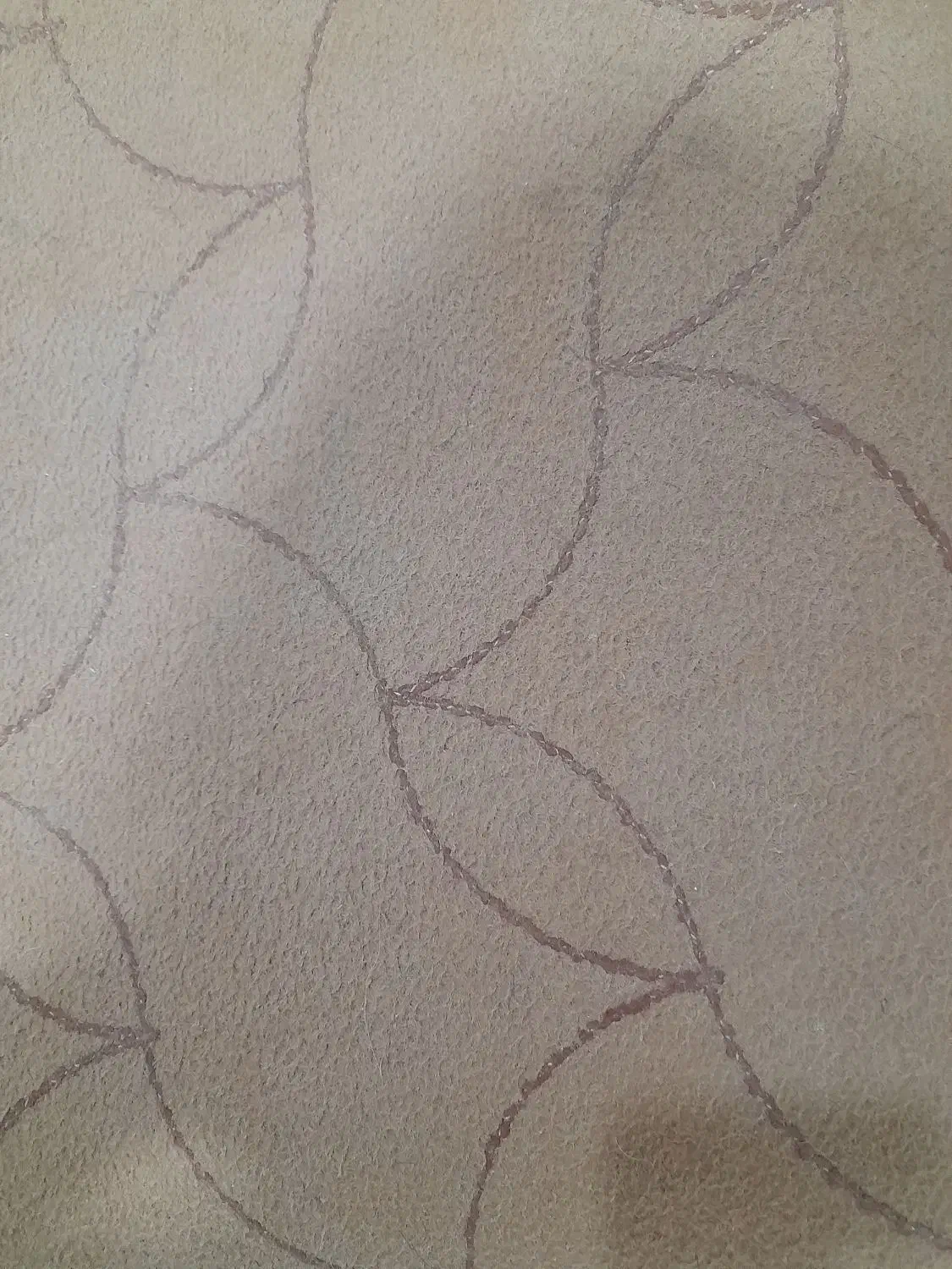 موکت ۸۵متری|موکت|ایوان, |دیوار