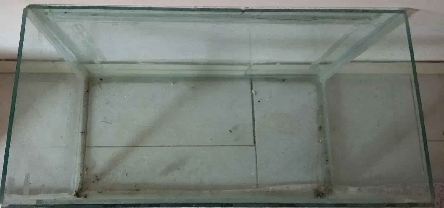 آکواریوم سالم ۶۰در۴۰|ماهی|محمدیه-قزوین, |دیوار