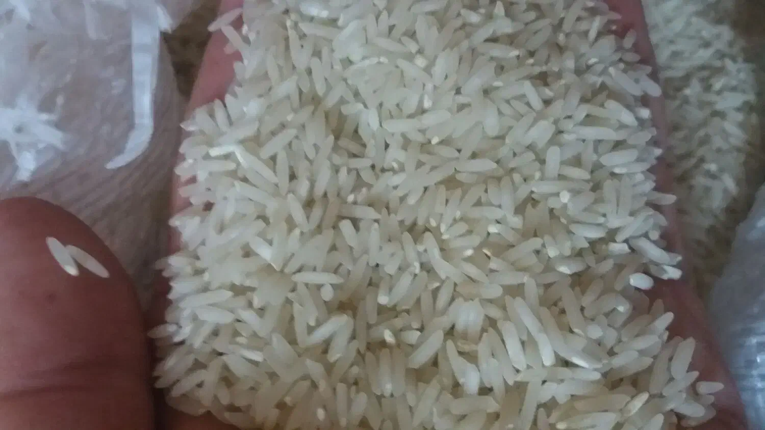 برنج ایرانی|خوردنی و آشامیدنی|درب گنبد, |دیوار