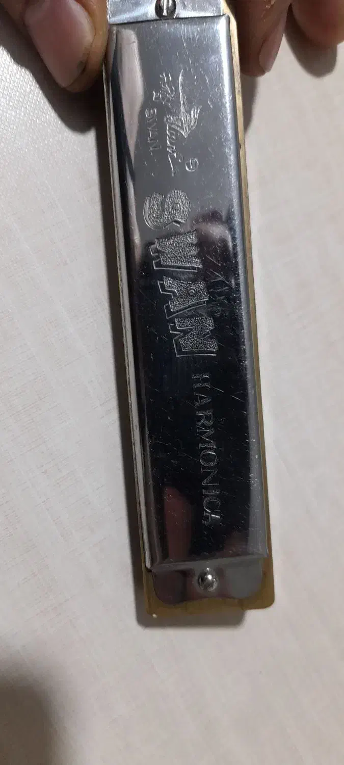 ساز دهنی|سازهای بادی|مشکین‌دشت, |دیوار