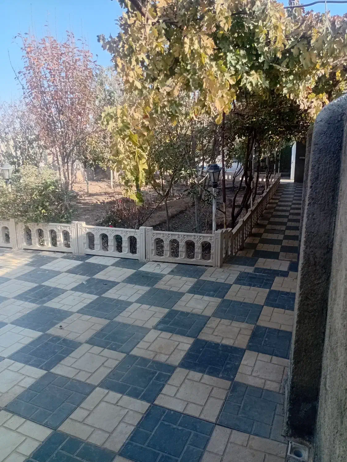 باغ ۶۰۰متری بعداز کارخانه اگزوز|فروش خانه و ویلا|نیشابور, مازول|دیوار