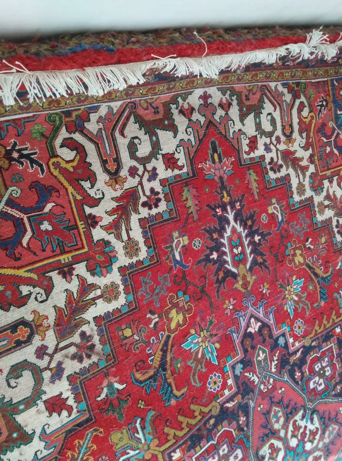 فرش 12متری تک هریس تاجری|فرش|ارومیه, |دیوار