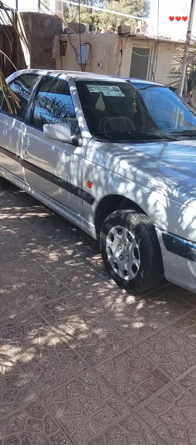 طوطی|پرنده|بم, |دیوار