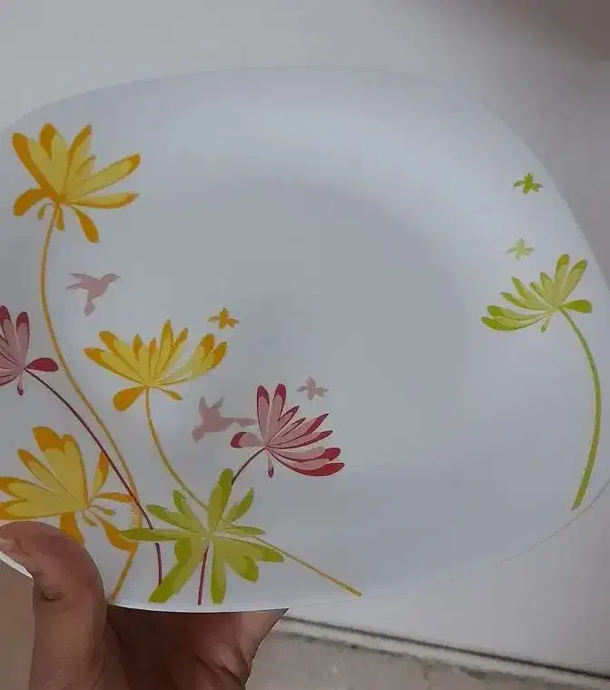 آکروپال|ظروف سرو و پذیرایی|مشهد, قائم|دیوار