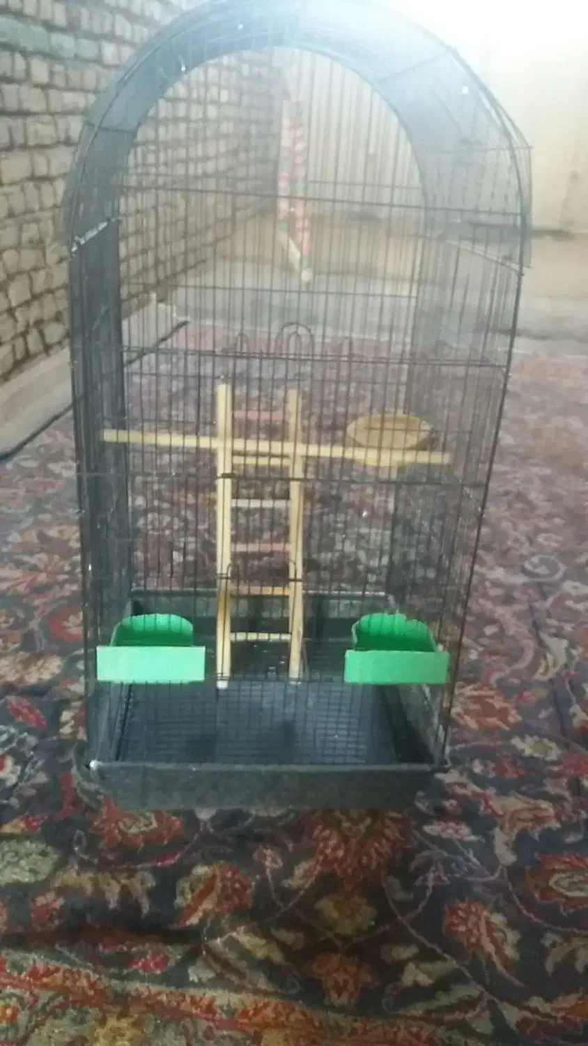 قفس پرنده|لوازم جانبی حیوانات|اصفهان, قهاب جنوبی|دیوار