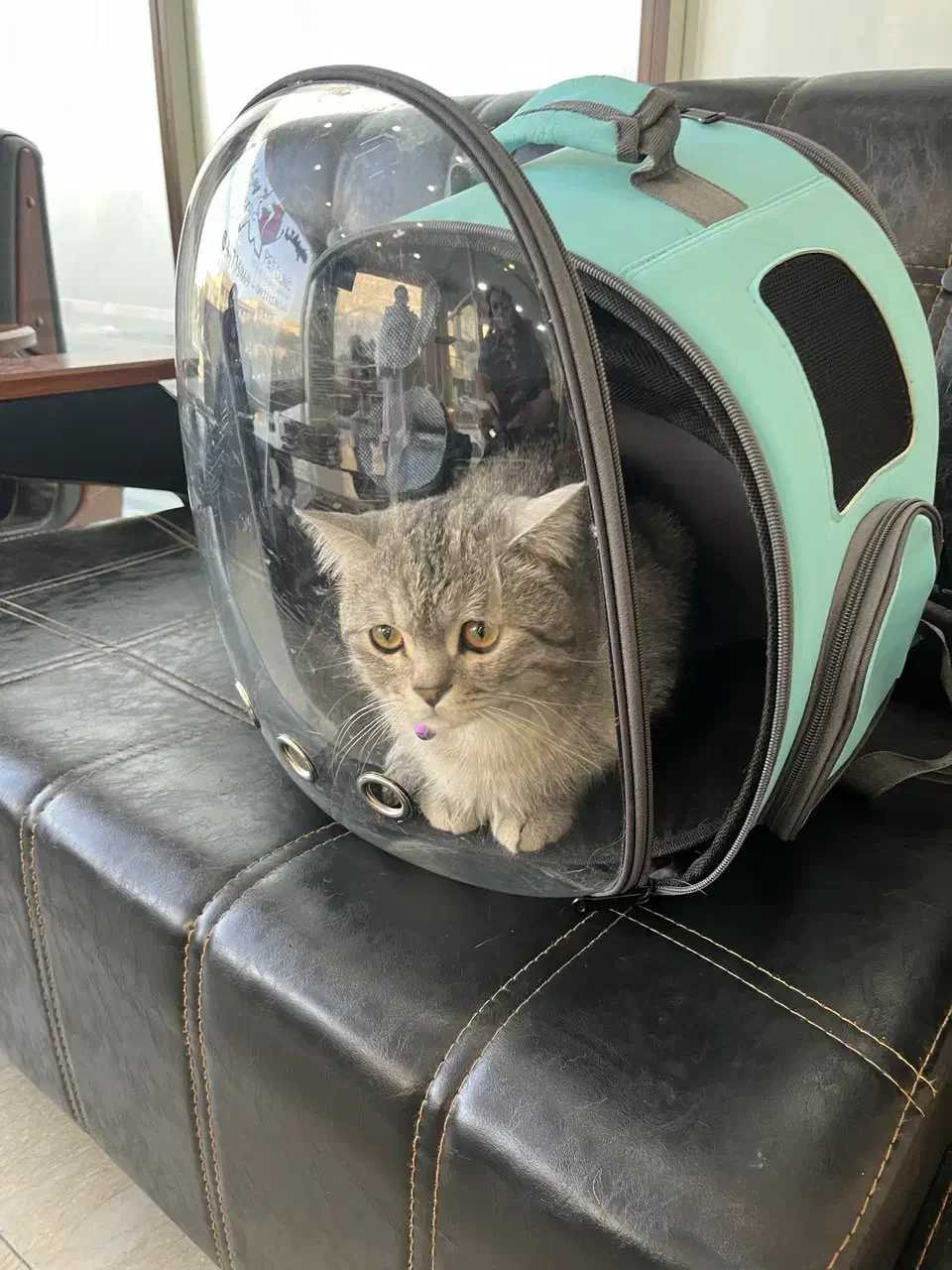 منشی کلینیک و پت شاپ دامپزشکی|استخدام درمانی، زیبایی، بهداشتی|تهران, گلستان (شهرک راه آهن)|دیوار