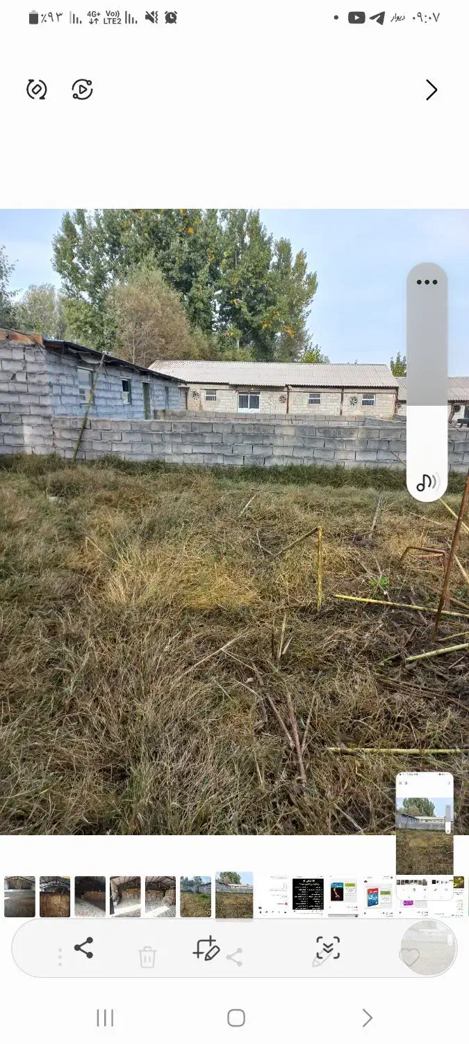 کارگرمرغداری|استخدام سرایداری و نظافت|قصابه, |دیوار