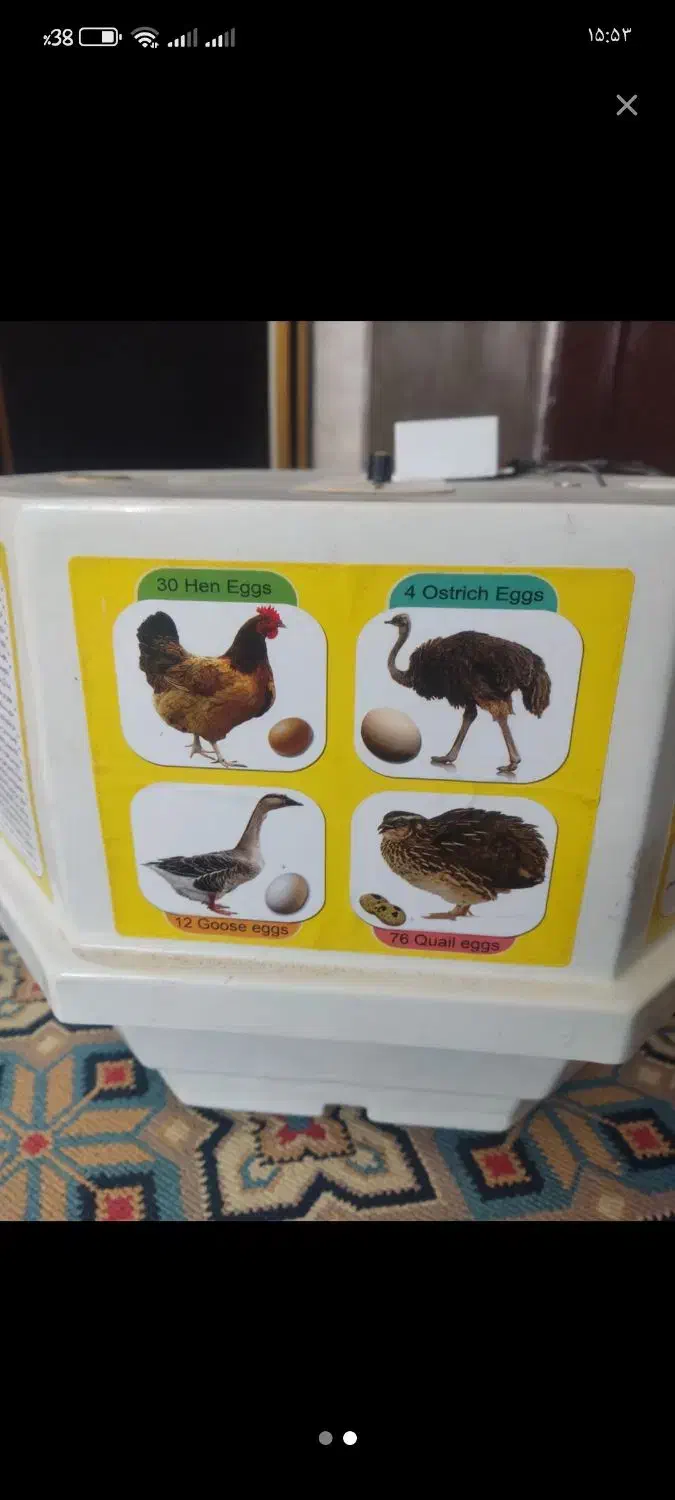 دستگاه جوجه کشی|لوازم جانبی حیوانات|بافت, |دیوار