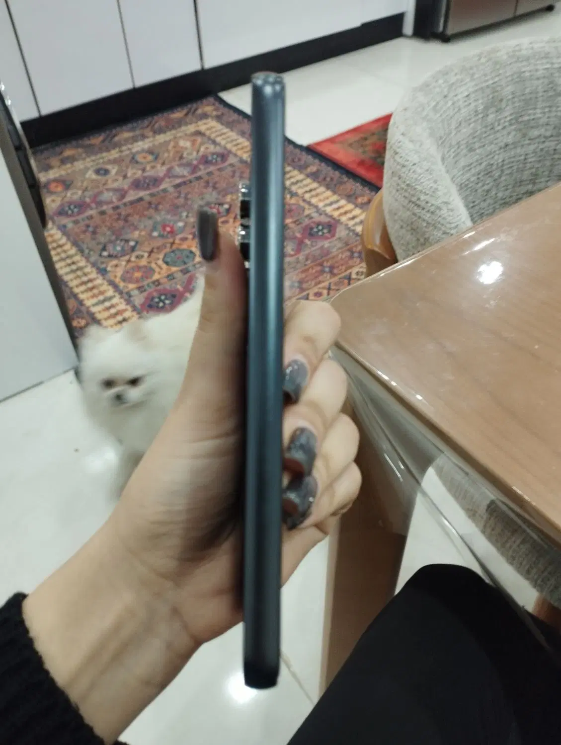 گوشی A54 (5G)|موبایل|اهواز, کوی جانبازان(دانش)|دیوار