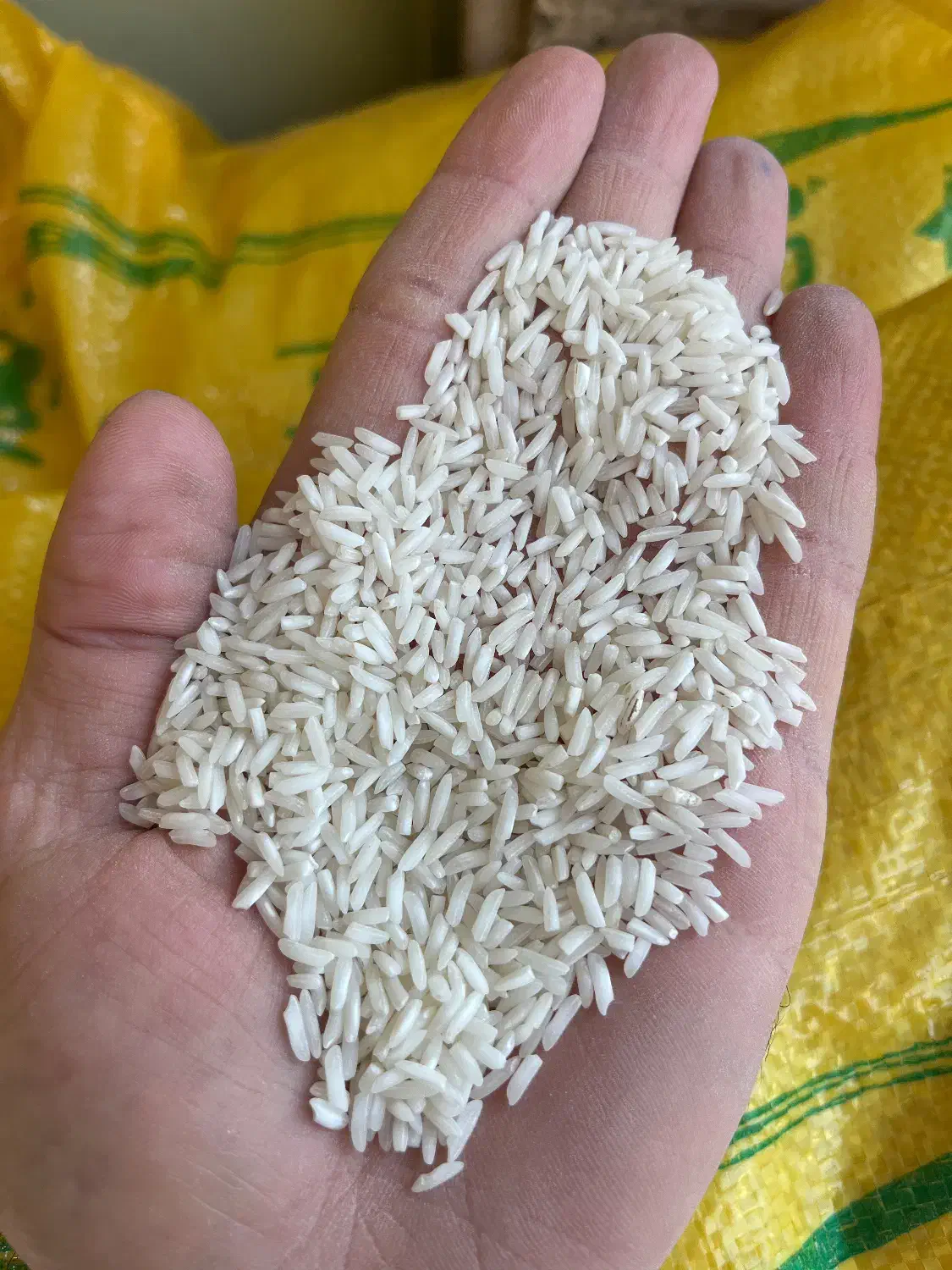 برنج مختار هاشمی|خوردنی و آشامیدنی|رضوانشهر, |دیوار