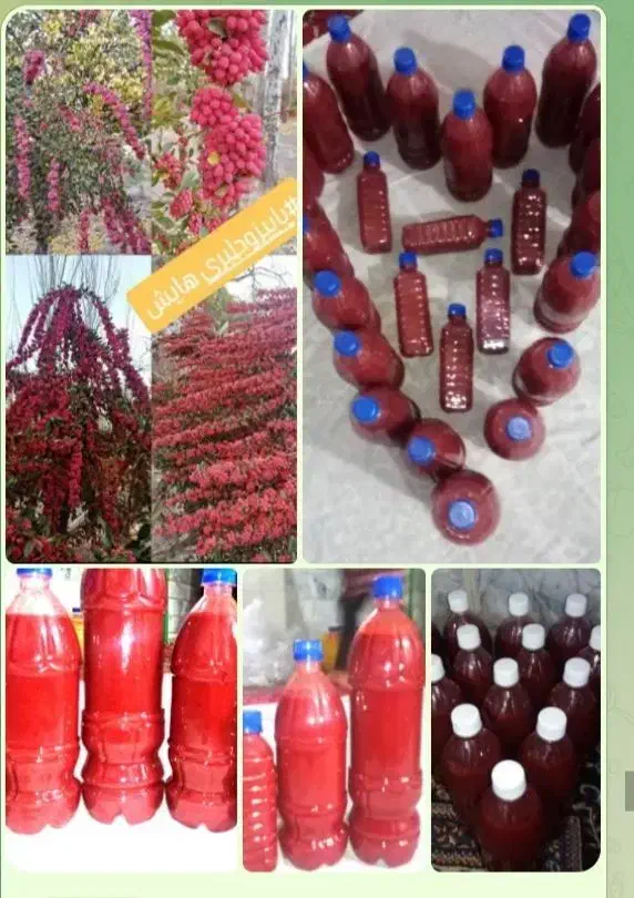 آب زرشک طبیعی. خالص.|خوردنی و آشامیدنی|گزیک, |دیوار