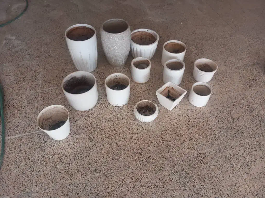 تعدادی گلدان سرامیک سفید در حد|صنایع دستی و سایر لوازم تزئینی|اسلامشهر, شهرک قائمیه|دیوار