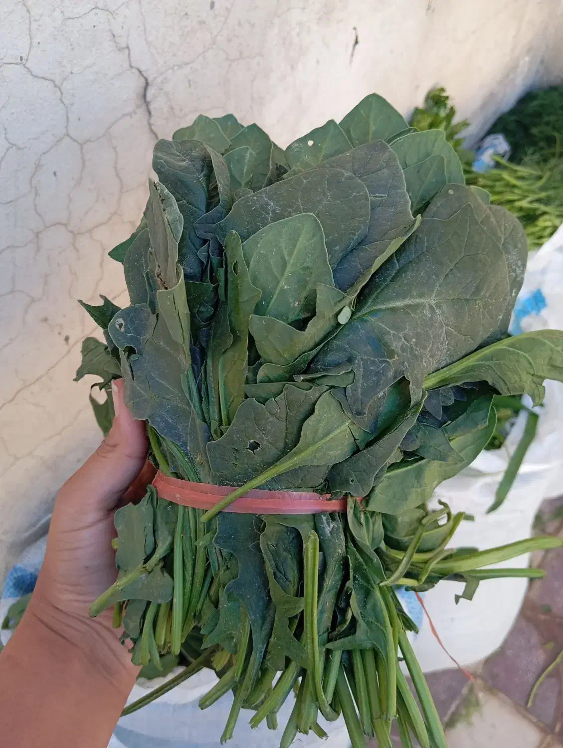 فروش انواع سبزیجات|خوردنی و آشامیدنی|جونقان, |دیوار