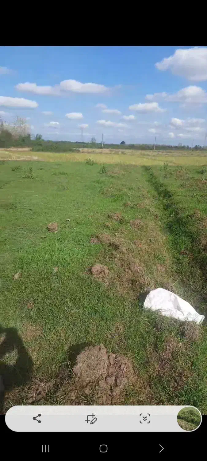 فروش زمین|فروش زمین و ملک کلنگی|طاهرگوراب, |دیوار