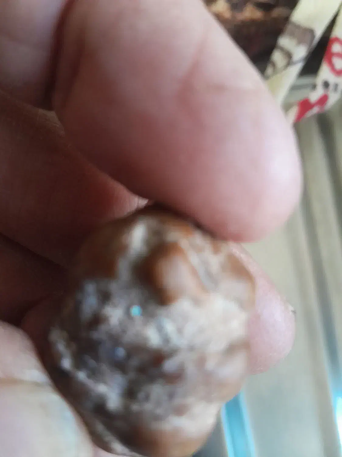 شهاب سنگ کوچولو|کلکسیون اشیاء عتیقه|خفر, |دیوار