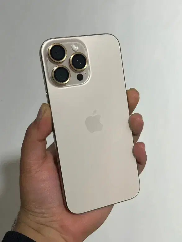 اپل آیفون ۱۶ پرومکس با حافظه ۲۵۶ گیگابایت|موبایل|بوشهر, |دیوار