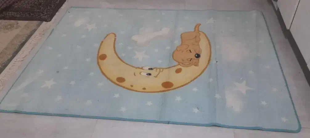 درحدنو|فرش|مشهد, توس (بلوار توس)|دیوار