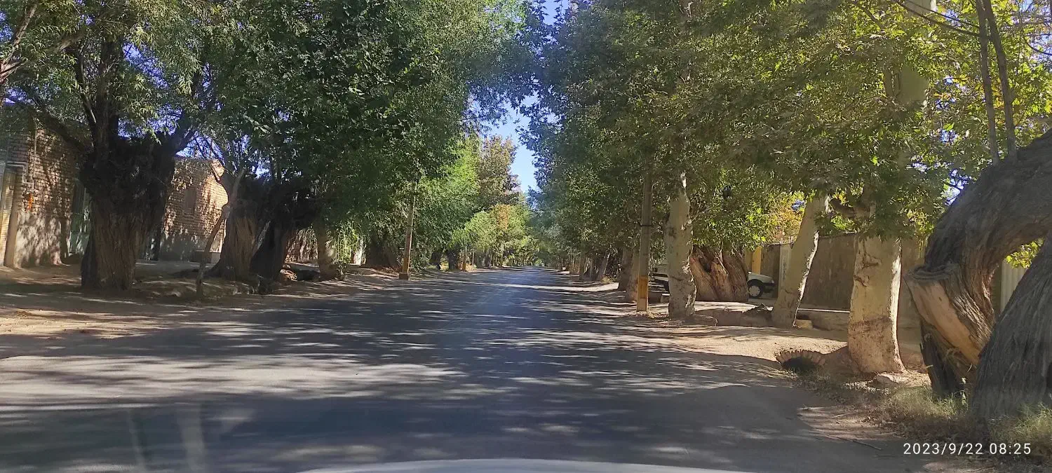 باغ منزل فروشی در باغستان علیا|فروش خانه و ویلا|اسلامیه, |دیوار