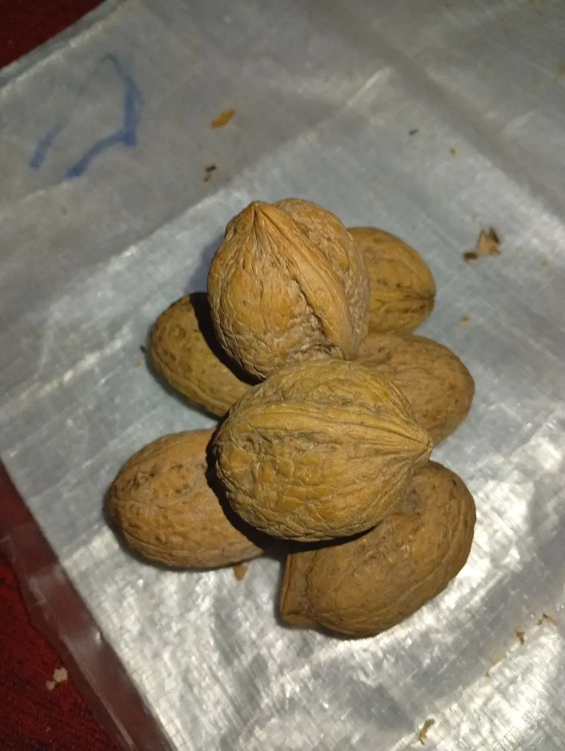 گردو معاوضه با برنج.چمپا وشمیم ..فجر|خوردنی و آشامیدنی|دهدشت, |دیوار